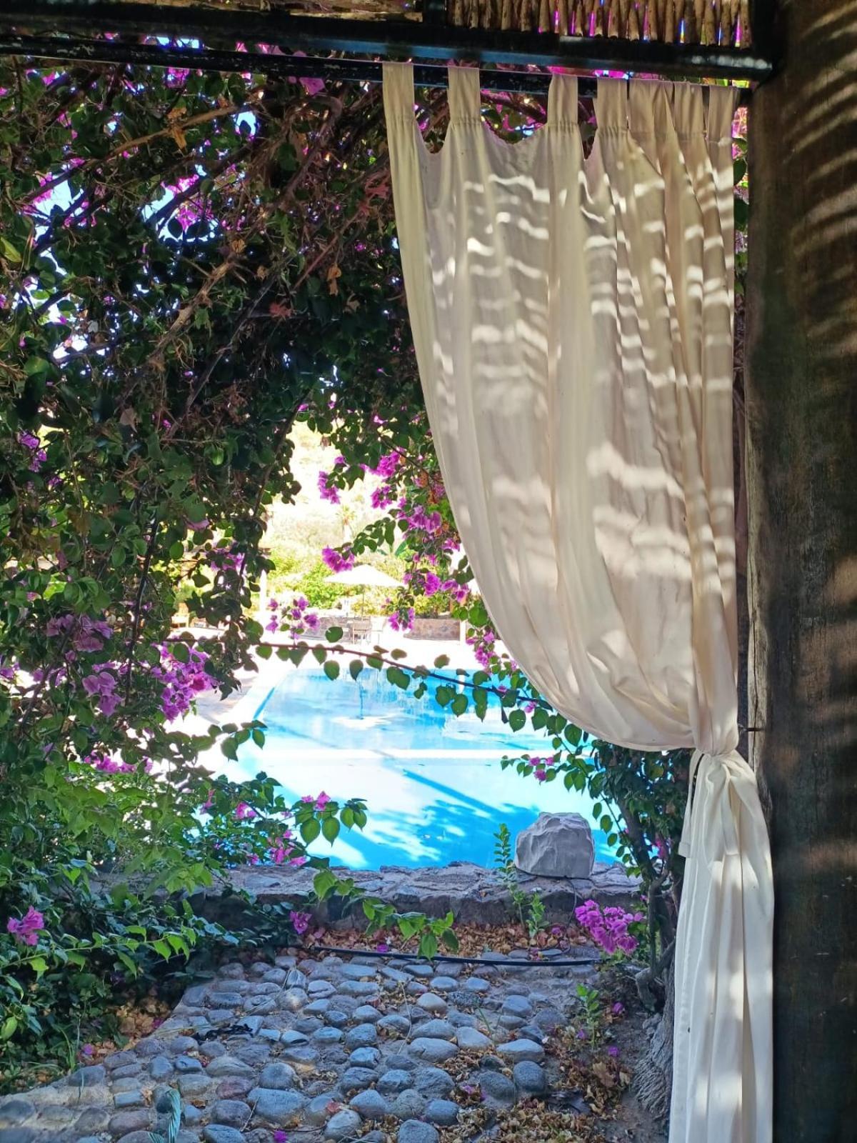 Tripui Hotel Puerto Escondido  외부 사진