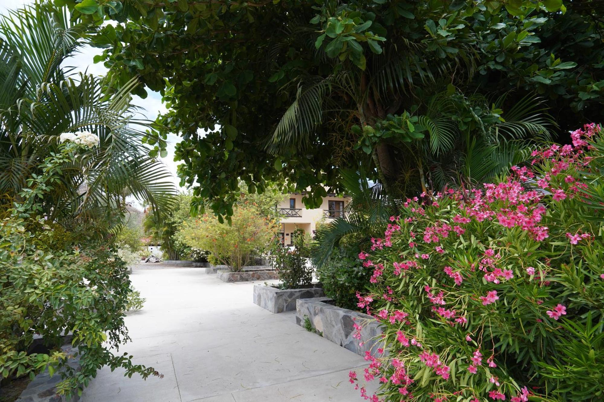 Tripui Hotel Puerto Escondido  외부 사진